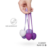 S011_Kegel ball Exercise Weights Rose【S-011】Doctor Recommended for Bladder Control Pelvic Floor Exercises