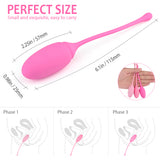 S223-2_Ben Wa Balls Trainer Kegel Balls Exerciser to Strengthen and Tone Pelvic Floor Muscles