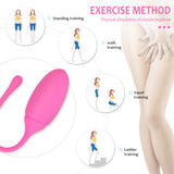 S223-2_Ben Wa Balls Trainer Kegel Balls Exerciser to Strengthen and Tone Pelvic Floor Muscles