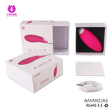 S014_Wireless Remote Control vibrator anal vibrator Love Mini vibrating sex toys adult stimulator【S014】