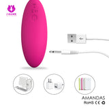 S014_Wireless Remote Control vibrator anal vibrator Love Mini vibrating sex toys adult stimulator【S014】