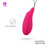 S014_Wireless Remote Control vibrator anal vibrator Love Mini vibrating sex toys adult stimulator【S014】