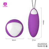 S016_Wireless Remote Control g spot vibrator anal vibrator Love Mini vibrating sex toys adult g spot stimulator【S016】