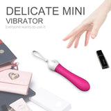 S127_Japanese Hot Sale Sex Products Clitoris Nipple Stimulator Women Adult Sex Toys Small Vibrating Massage Vibrator【S127】