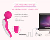 S021_Portable electric leg handhead massager back neck vibrating massage vibrator SHD-S021